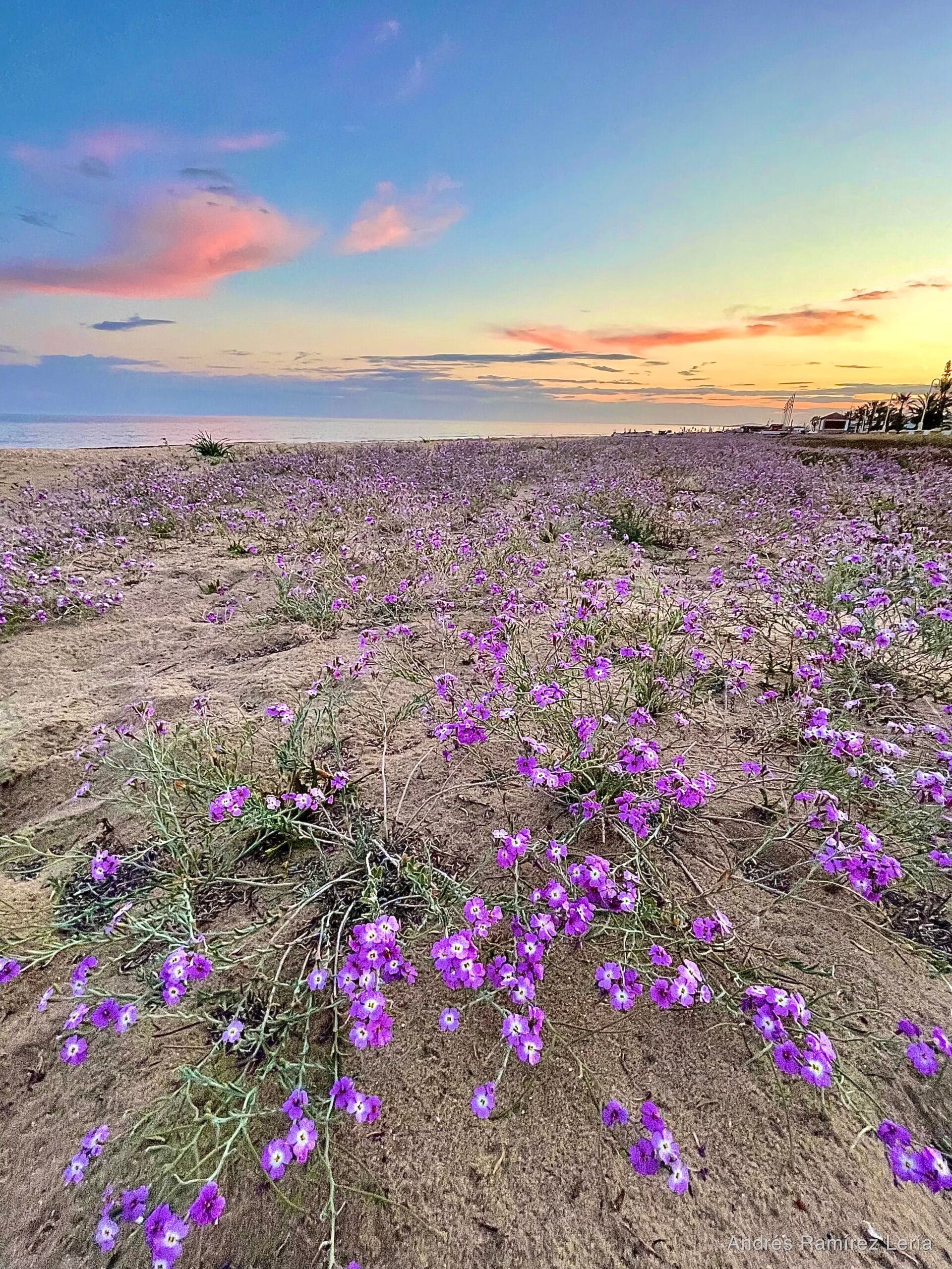 Fotografía de La Antilla
